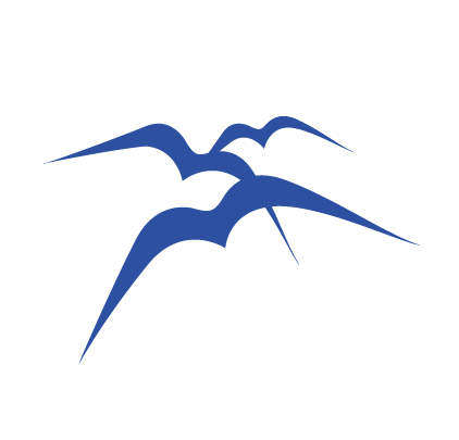 BlueBirds Group